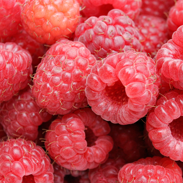 RASPBERRY 125GRM - Jackie Leonards