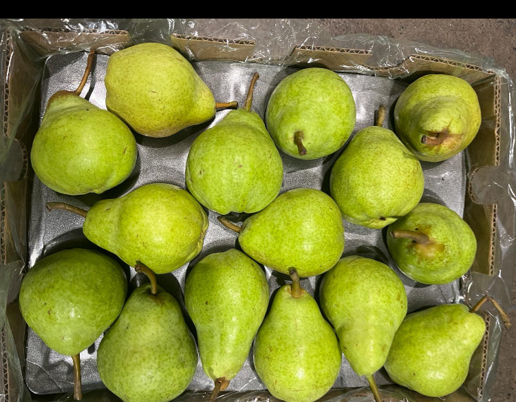 Pear Packham SA (x15Kg) Box