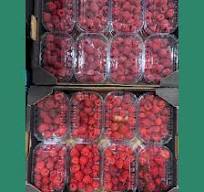 Raspberries (12x125grm) Box