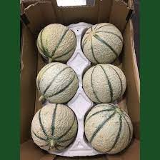 Melon Cantaloupe Box