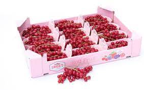 RED CURRANT [12x125grm] BOX