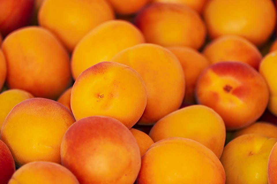 Apricot Box