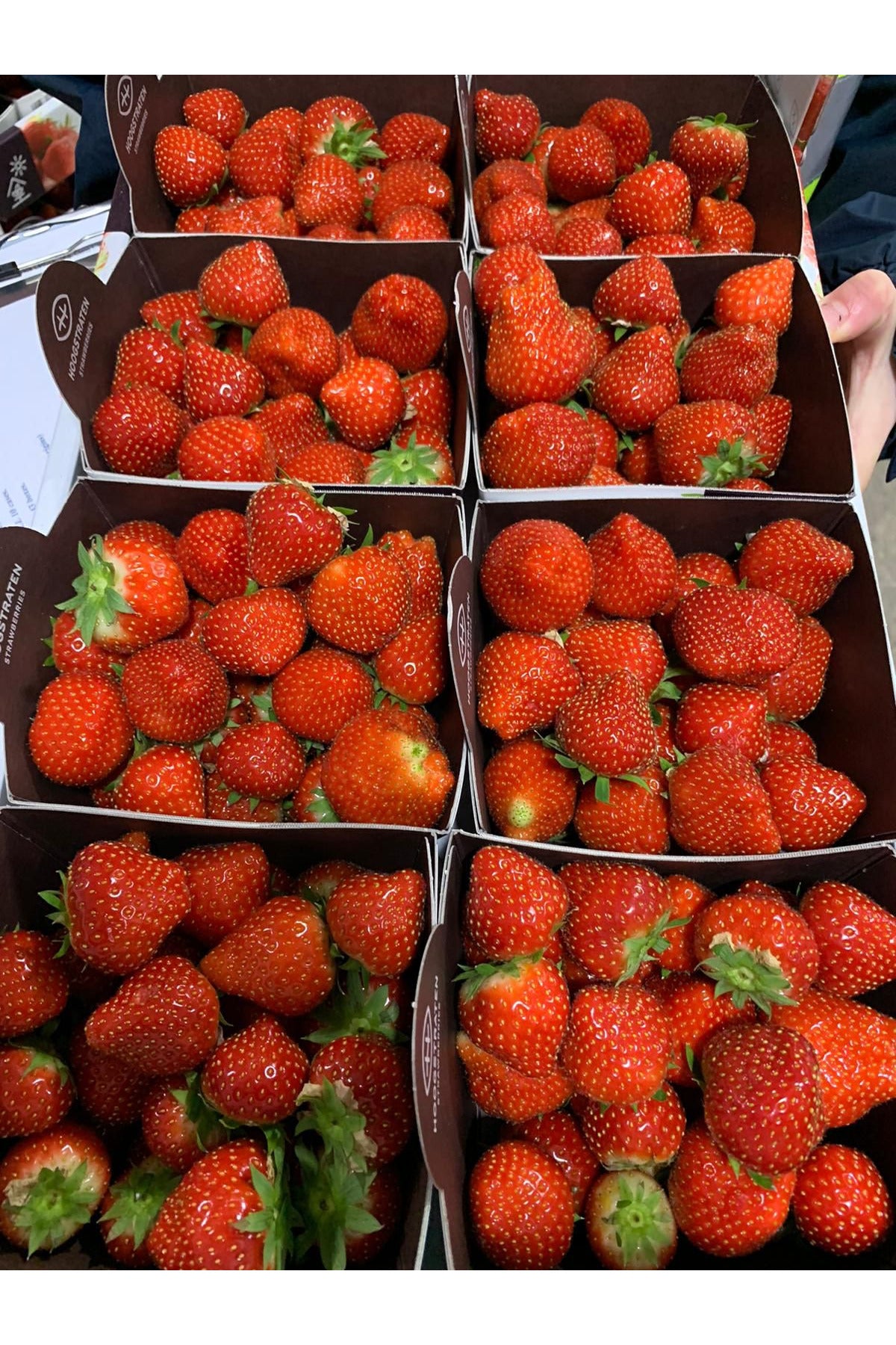 strawberry box 8 x 500g