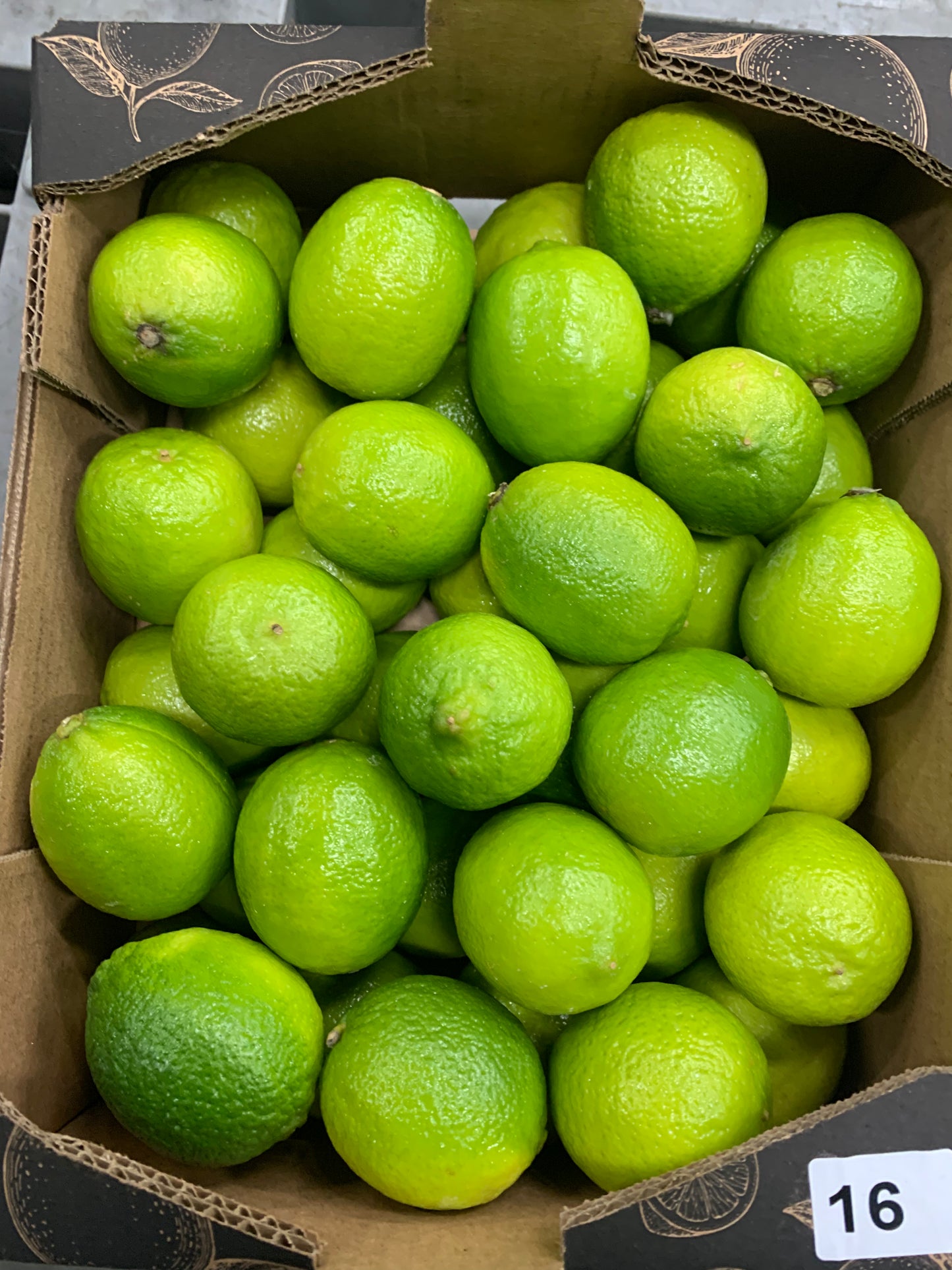 Lime x48 Brazilian