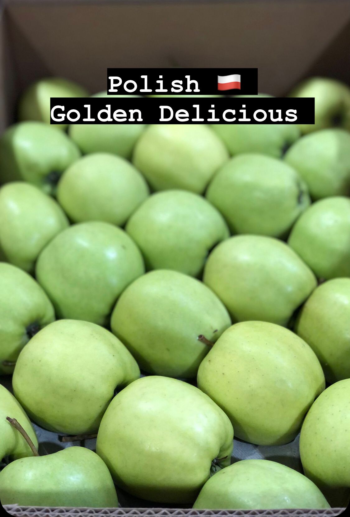 Apple Golden Delicious x100 Box